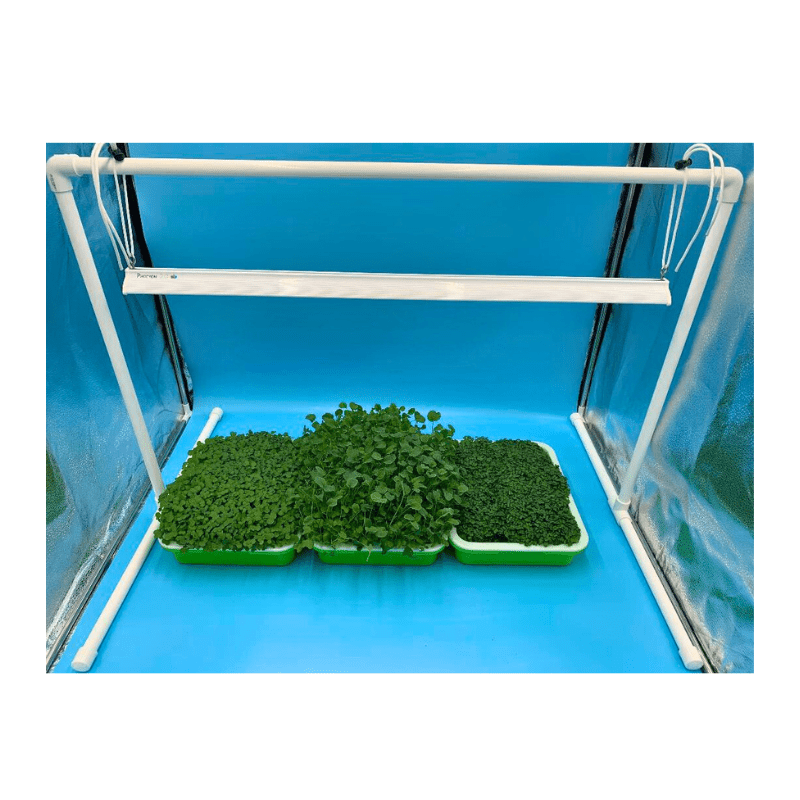 Grow Light Stand for Seed Starting, Microgreens, Indoor Plants & More - Happy Leaf