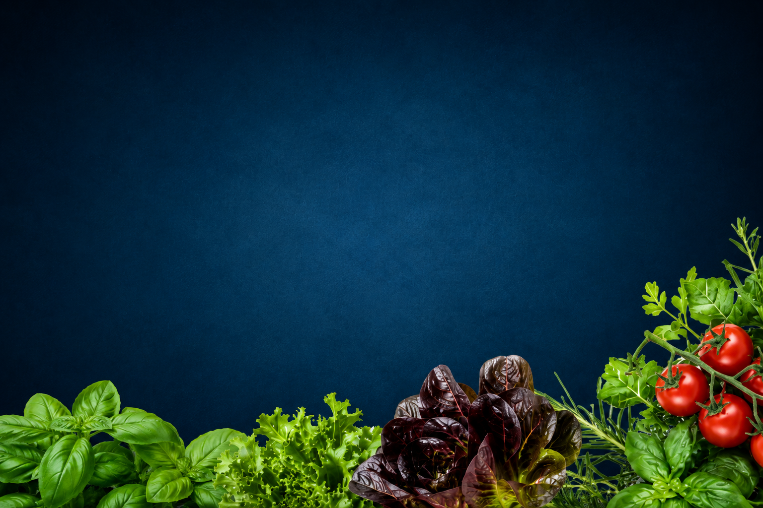 Vegetables including tomatoes, basil, and lettuce on a dark blue background