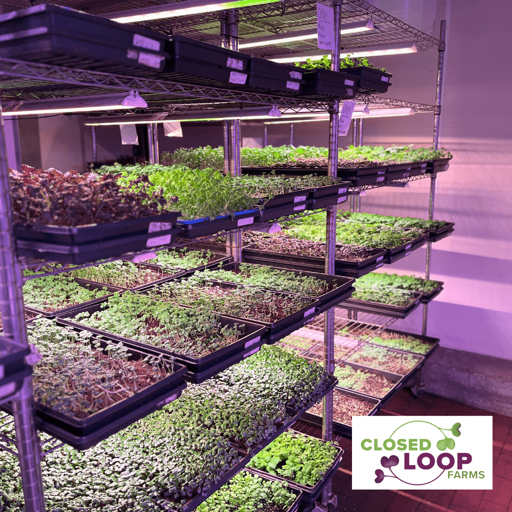 led plant lights indoor ProcyonPRO 33" - LED Grow Light - Multi-Light Package
