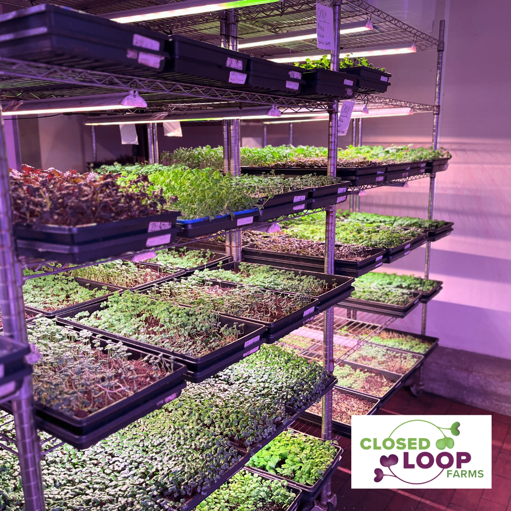 33" ProcyonPRO | Premium LED Grow Lights for Commercial & Home Use