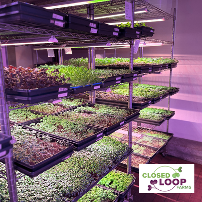 33" ProcyonPRO | Premium LED Grow Lights for Commercial & Home Use