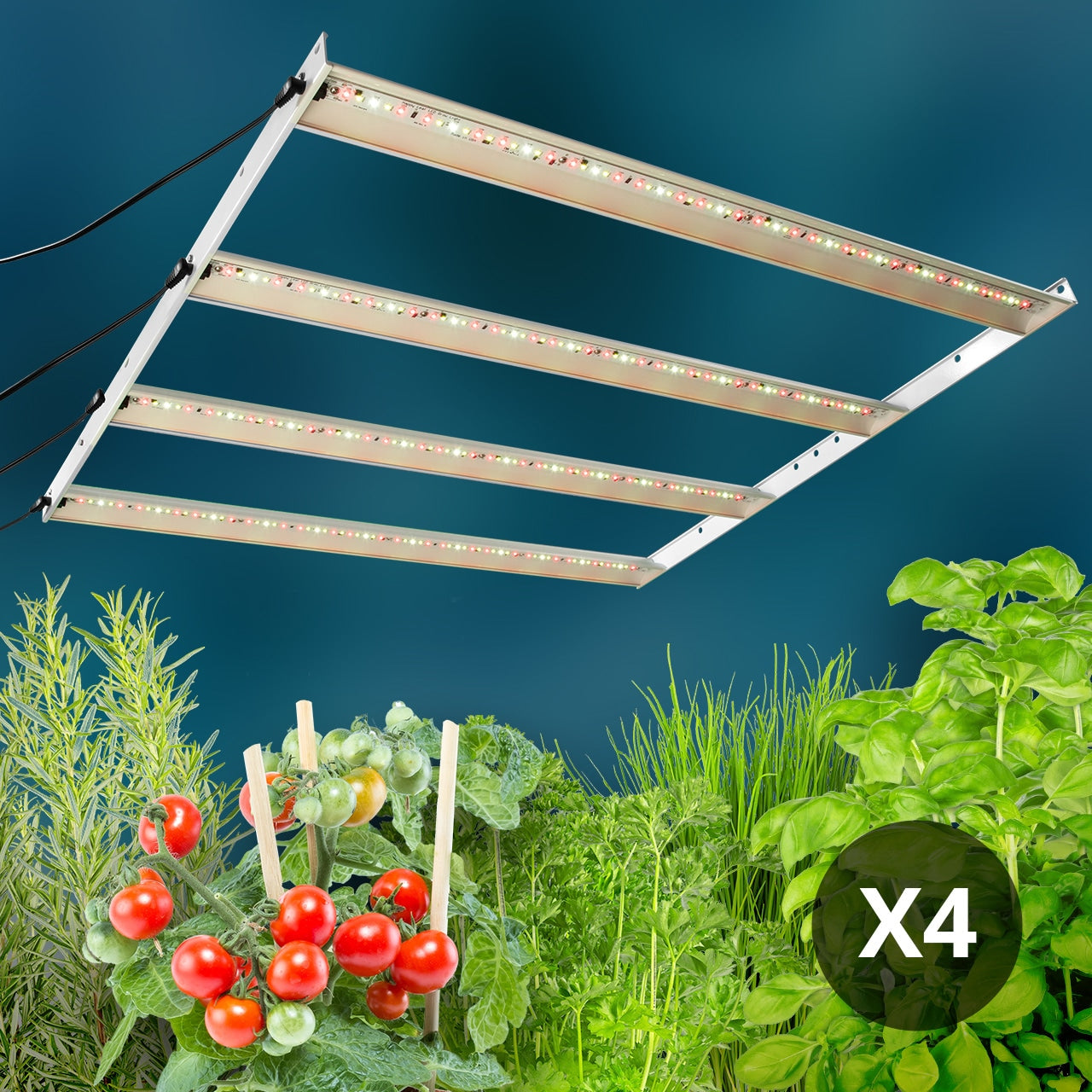 Full-spectrum Daisy Chain Happy Leaf LED Grow Light system