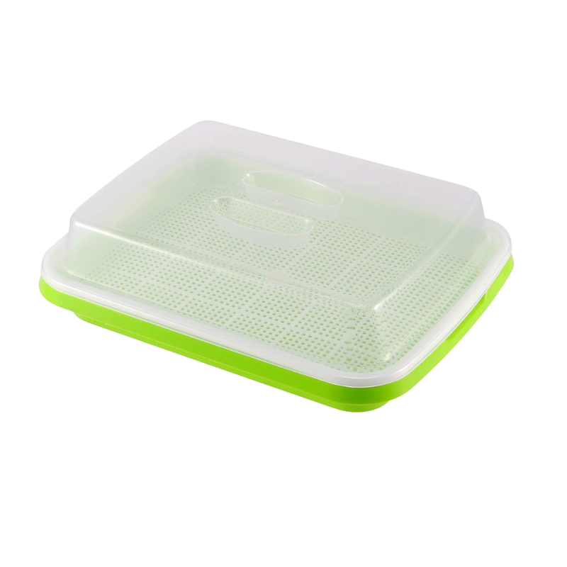 Square plastic container with a green base and clear lid on a white background
