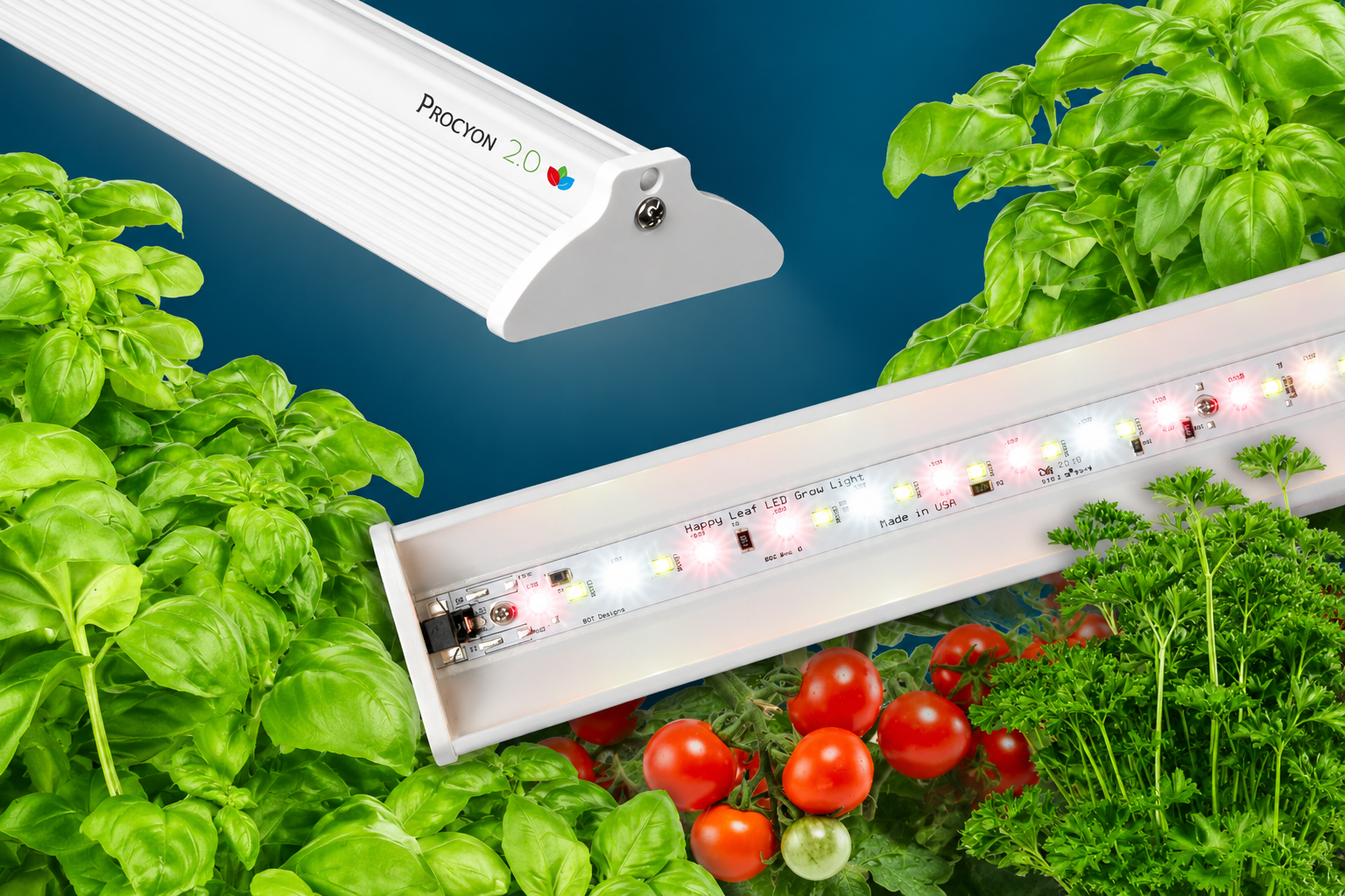 Procyon 2 grow light with leafy greens and tomatoes on a blue background