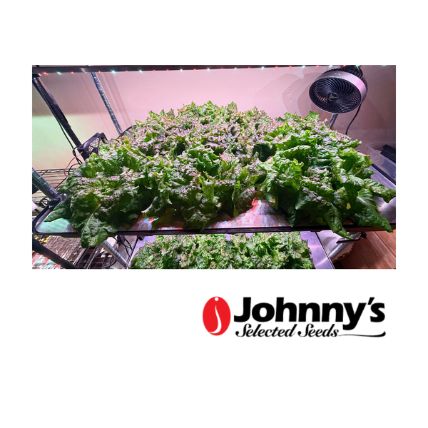 Grown plants in a controlled environment with Johnny's Selected Seeds logo.