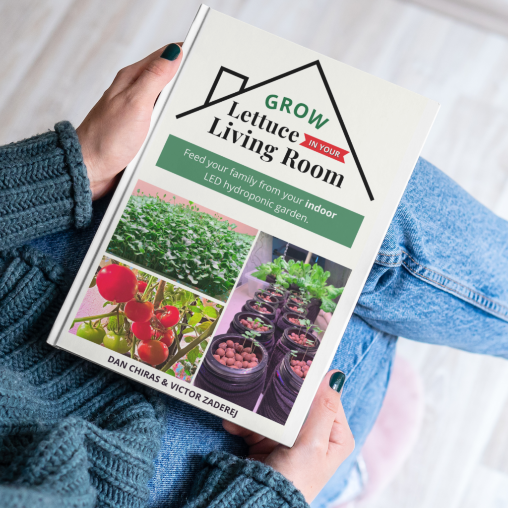Book titled 'Grow Lettuce in Your Living Room' held by a person.