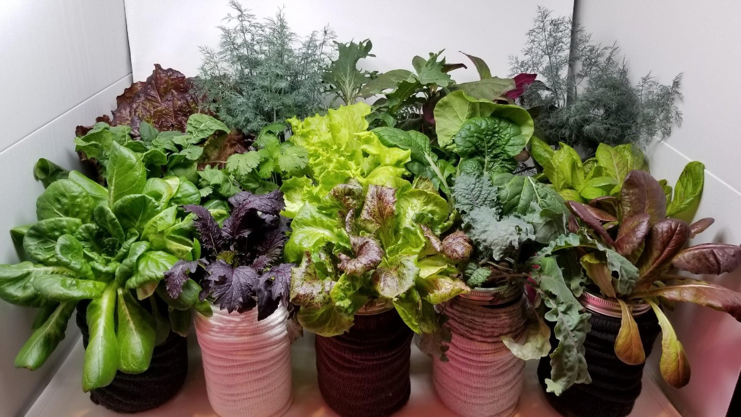 Hydroponic Growing Supplies Bundle - Happy Leaf